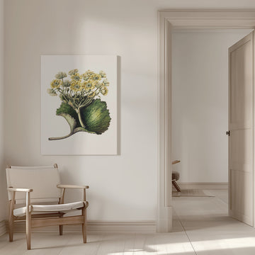 Korikor Drawn By Sarah Featon (1848–1927 | Canvas - Room Interior 1