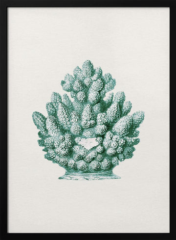 Teal Ocean Coral | Poster - Black Metal Frame Interior