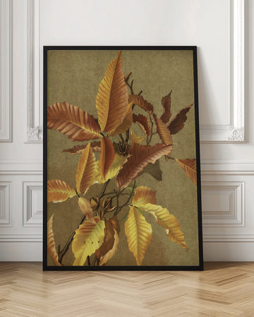 Autumn Leaves No. 3 Beech By Ellen Thayer Fisher | Poster - Room Interior 1