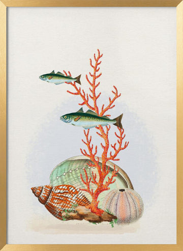 Marine Life Collection | Poster - Gold Frame Interior