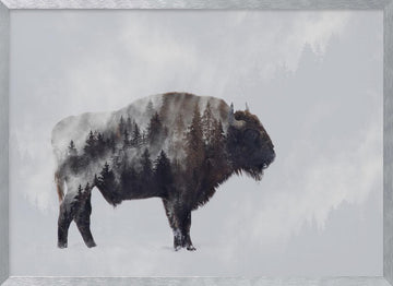Wild Bison Forest | Poster - Silver Frame Interior