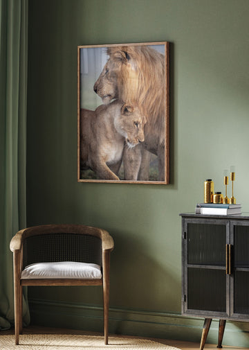 Lions in Love | Poster - Room Interior 2