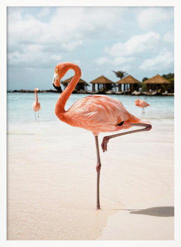 Pink Flamingo Beach | Poster - White Frame Interior