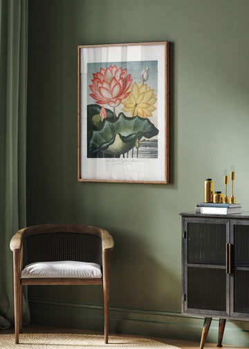 The Sacred Egyptian Bean from The Temple of Flora (1807) | Poster - Room Interior 2