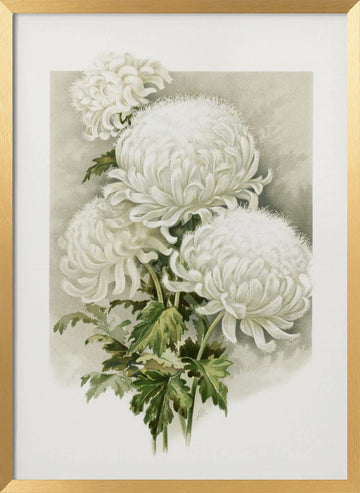 Mrs. Alpheus Hardy | Poster - Gold Frame Interior