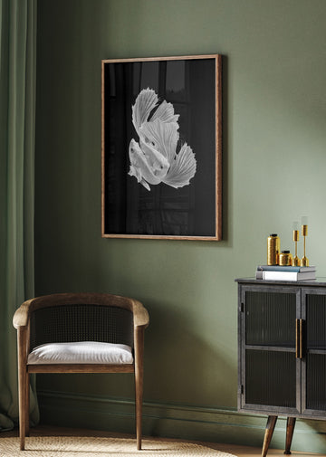 Betta Fish Dance | Poster - Room Interior 2