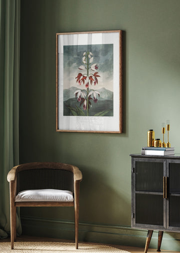 The Chinese Limodoron from The Temple of Flora (1807) | Poster - Room Interior 2
