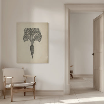 Botanical Carrot Drawing | Canvas - Room Interior 1