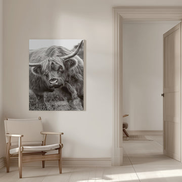Majestic Highland Cow | Canvas - Room Interior 1