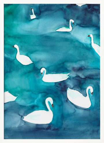 Graceful Swans on Water | Poster - White Frame Interior