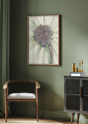 Longleaf Pine From North American Wildflowers (1925) By Mary Vaux Walcott. | Poster - Room Interior 2