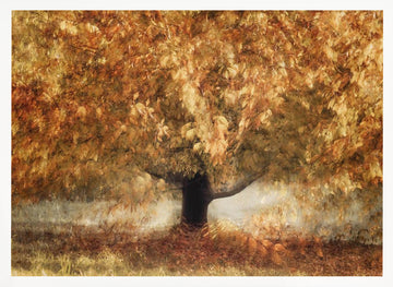 Gold colors | Poster - White Frame Interior