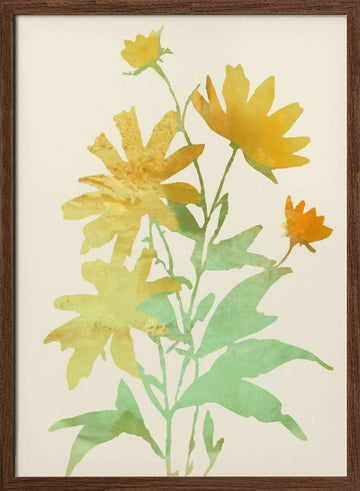 Yellow Botanical Bloom | Poster - Walnut Frame Interior