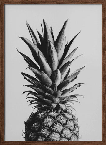 Black and White Pineapple | Poster - Walnut Frame Interior