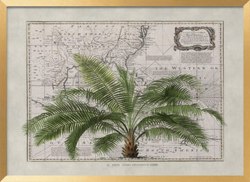 Vintage Map Palm Tree | Poster - Gold Frame Interior
