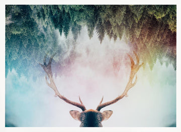 Mystical Forest Stag | Poster - White Frame Interior