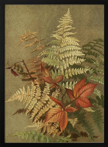 Autumn Ferns | Poster - Black Metal Frame Interior