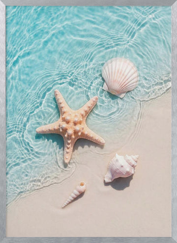 Starfish Seashells Shoreline | Poster - Silver Frame Interior
