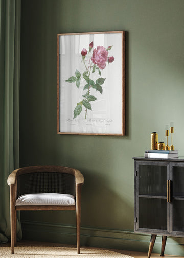 Provence Rose, Les Roses (1817–1824) | Poster - Room Interior 2