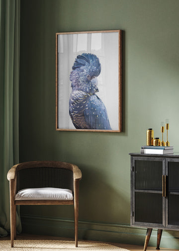 Black Cockatoo | Poster - Room Interior 2