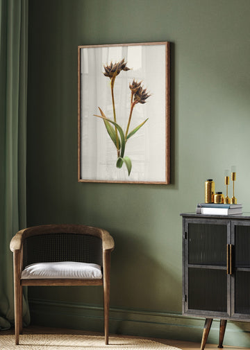 Detailed Botanical Study | Poster - Room Interior 2