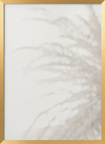 Soft Pampas Light | Poster - Gold Frame Interior