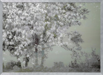 Spring | Poster - Silver Frame Interior