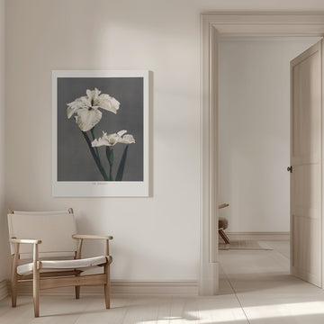 Iris Kæmpferi | Canvas - Room Interior 1