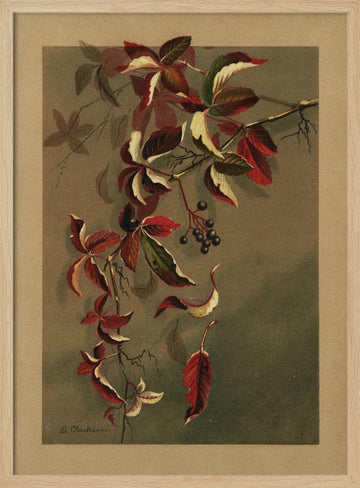 Autumn Leaves With Black Berries | Poster - Wood Frame Interior