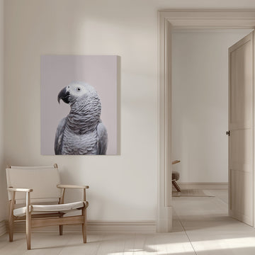 African Grey | Canvas - Room Interior 1