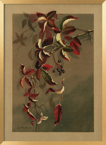 Autumn Leaves With Black Berries | Poster - Gold Frame Interior