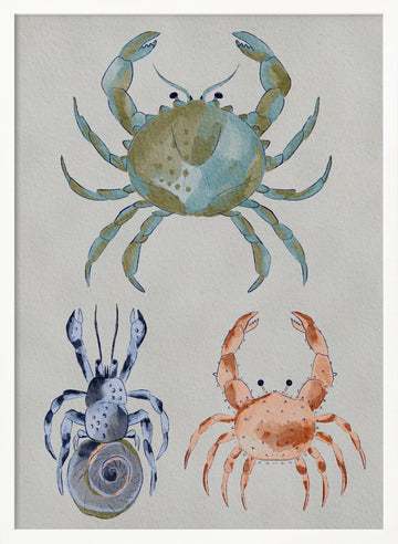 Ocean Crabs Watercolor | Poster - White Frame Interior