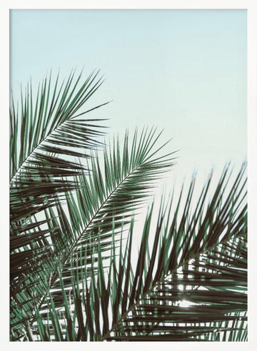 Tropical Palm Fronds | Poster - White Frame Interior
