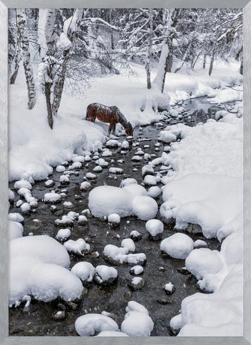 Snowy Forest Horse | Poster - Silver Frame Interior