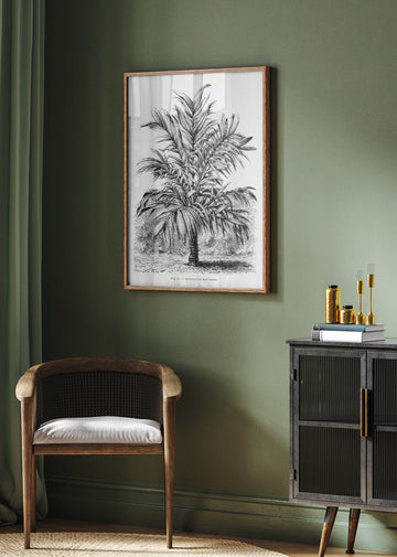 Vintage Palm Tree Drawing Ix | Poster - Room Interior 2
