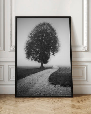 Foggy Path Lone Tree | Poster - Room Interior 1