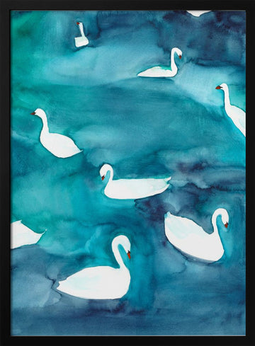 Graceful Swans on Water | Poster - Black Metal Frame Interior