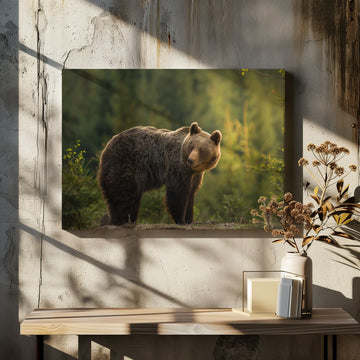 Bear in Golden Light | Canvas - Room Interior 2