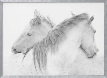 Ethereal White Horses | Poster - Silver Frame Interior