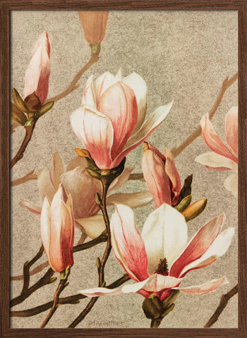 Magnolia | Poster - Walnut Frame Interior