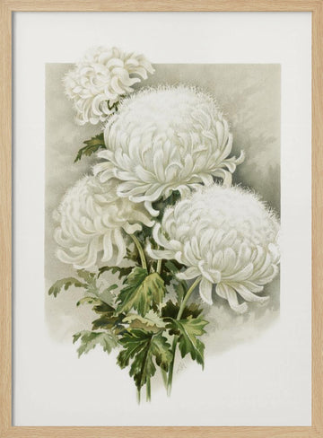 Mrs. Alpheus Hardy | Poster - Wood Frame Interior