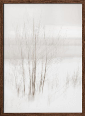 Ethereal Winter Woods | Poster - Walnut Frame Interior