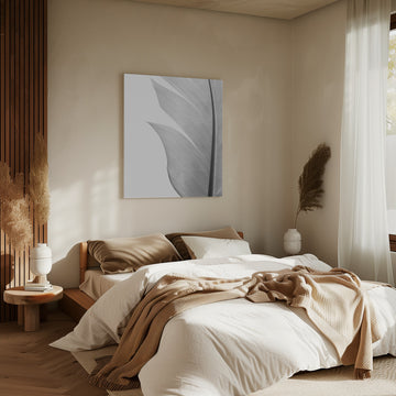 Delicate White Feather | Canvas - Room Interior 2