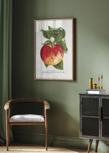 Wealthy Apple Lithograph | Poster - Room Interior 2