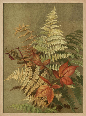 Autumn Ferns | Poster - Wood Frame Interior