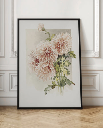 Chrysanthemums | Poster - Room Interior 1