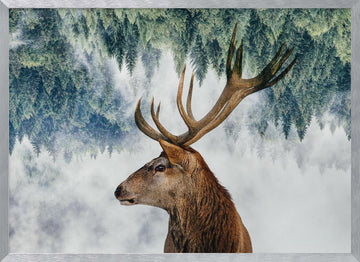 The Deer and the woods | Poster - Silver Frame Interior