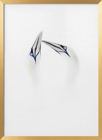 Serene Bird Connection | Poster - Gold Frame Interior