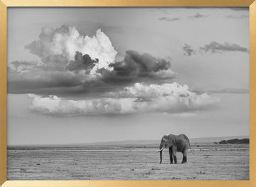 Lone Elephant Under Dramatic Sky | Poster - Gold Frame Interior