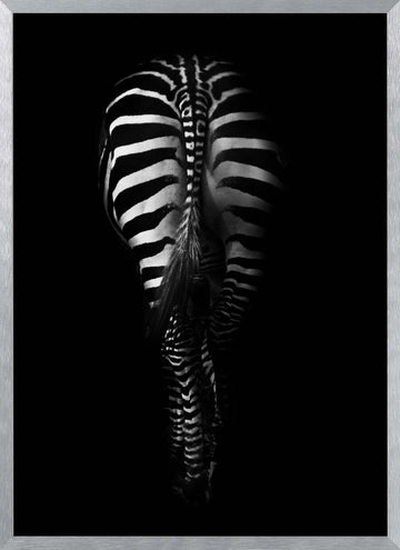 Dark Zebra Stripes | Poster - Silver Frame Interior